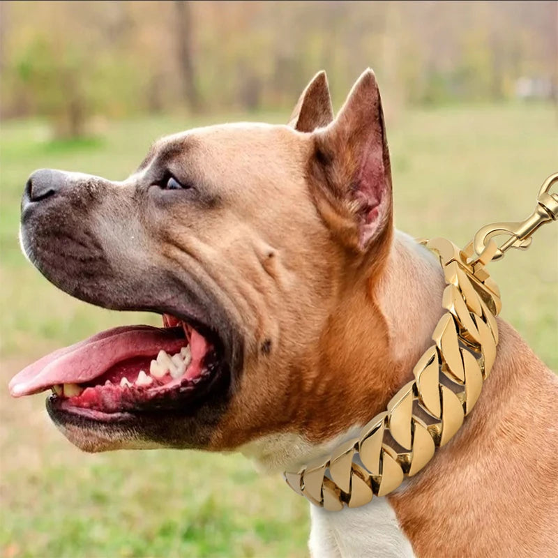 Lisslune | Strength Neck Metal Dog Collar – Sturdy Stainless Steel Collar for Large Dogs