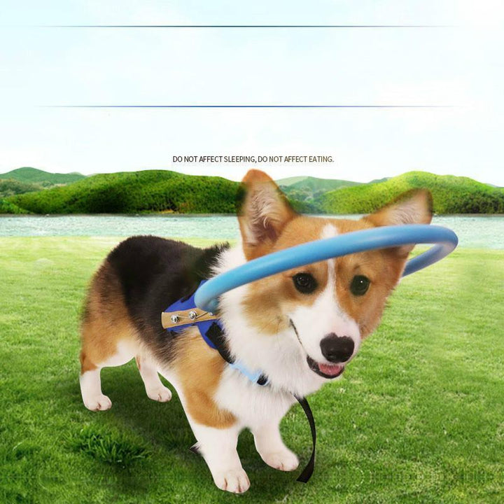 Lisslune | Bumper Collar Guide For Blind Dogs Harness