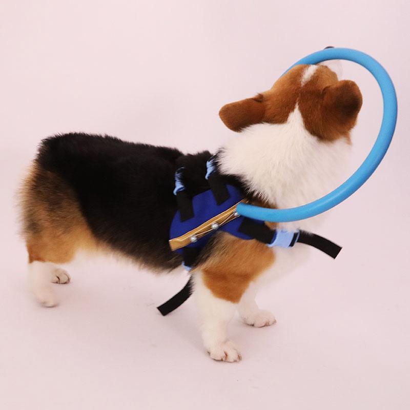 Lisslune | Bumper Collar Guide For Blind Dogs Harness