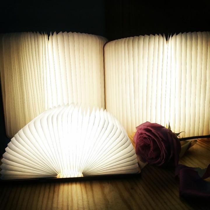Lisslune | Lumio Style LED (Folding) Book Lamp!