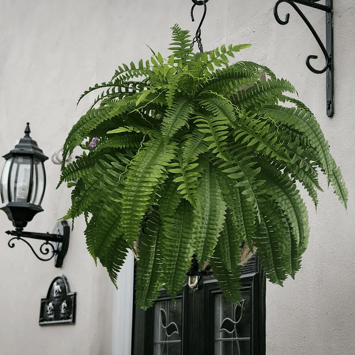 Lisslune | EverGreen Boston Fern – Artificial Plant with UV Protection and Weather Resistant Design