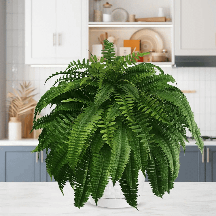 Lisslune | EverGreen Boston Fern – Artificial Plant with UV Protection and Weather Resistant Design