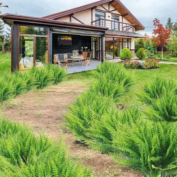 Lisslune | EverGreen Boston Fern – Artificial Plant with UV Protection and Weather Resistant Design