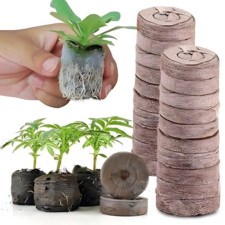 Lisslune | Coconut Fiber Peat Seedling Pellets – Starter for Seed Planting