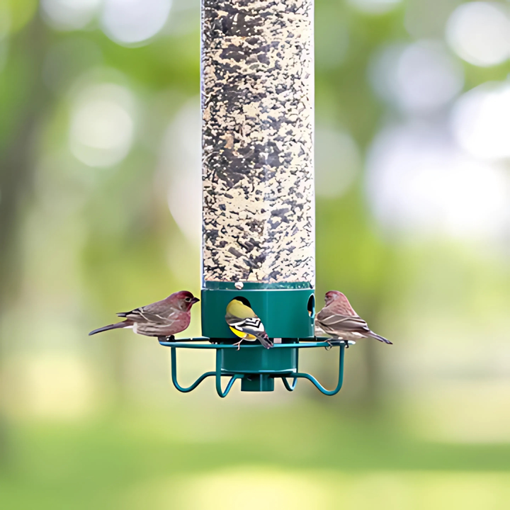 Lisslune | Metal Hanging Squirrel-Proof Bird Feeder for Gardens