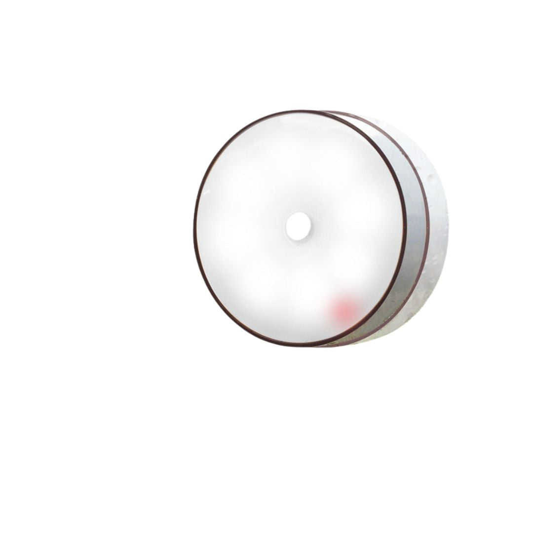 Lisslune | Intelligent light with motion detection
