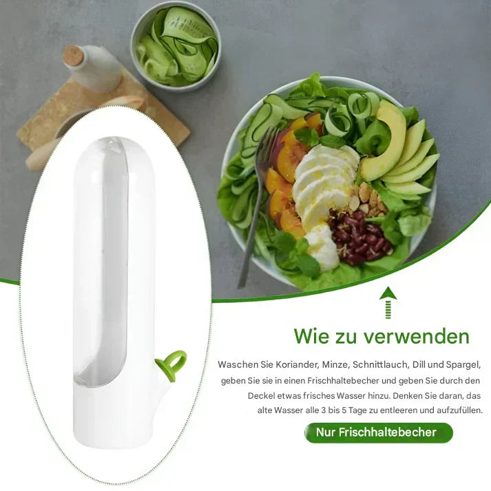 Lisslune | Airtight herb container for longer freshness & space-saving storage