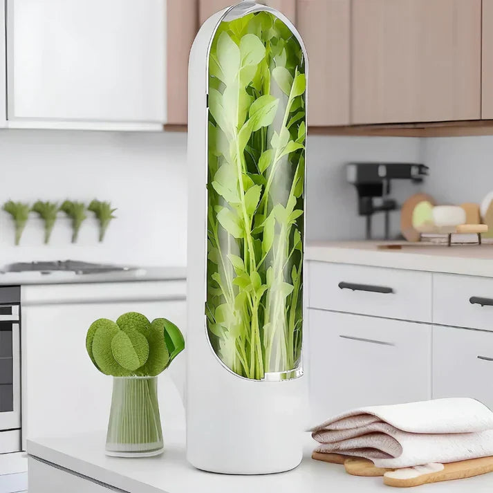 Lisslune | Airtight herb container for longer freshness & space-saving storage