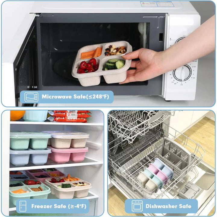 Lisslune | Bento-Style 4-Compartment Meal Prep Boxes in 4-Pack – Sustainable and Practical