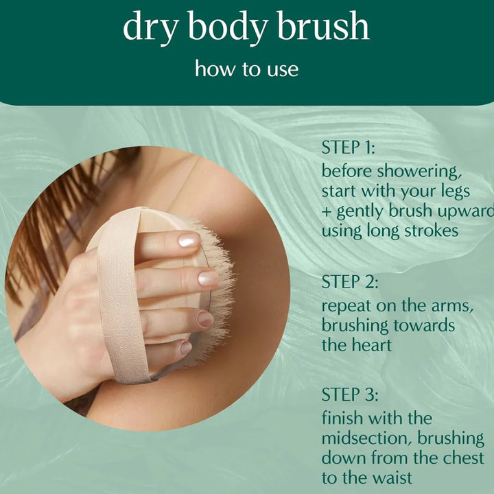 Lisslune | Sustainable Body Brush | For gentle exfoliation and skin care