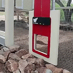 Lisslune | Automatic Chicken Pen Hen Coop Poultry Door Opener