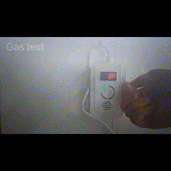 Lisslune | Gas Leak Carbon Monoxide CO2 Detector Alarm for Home
