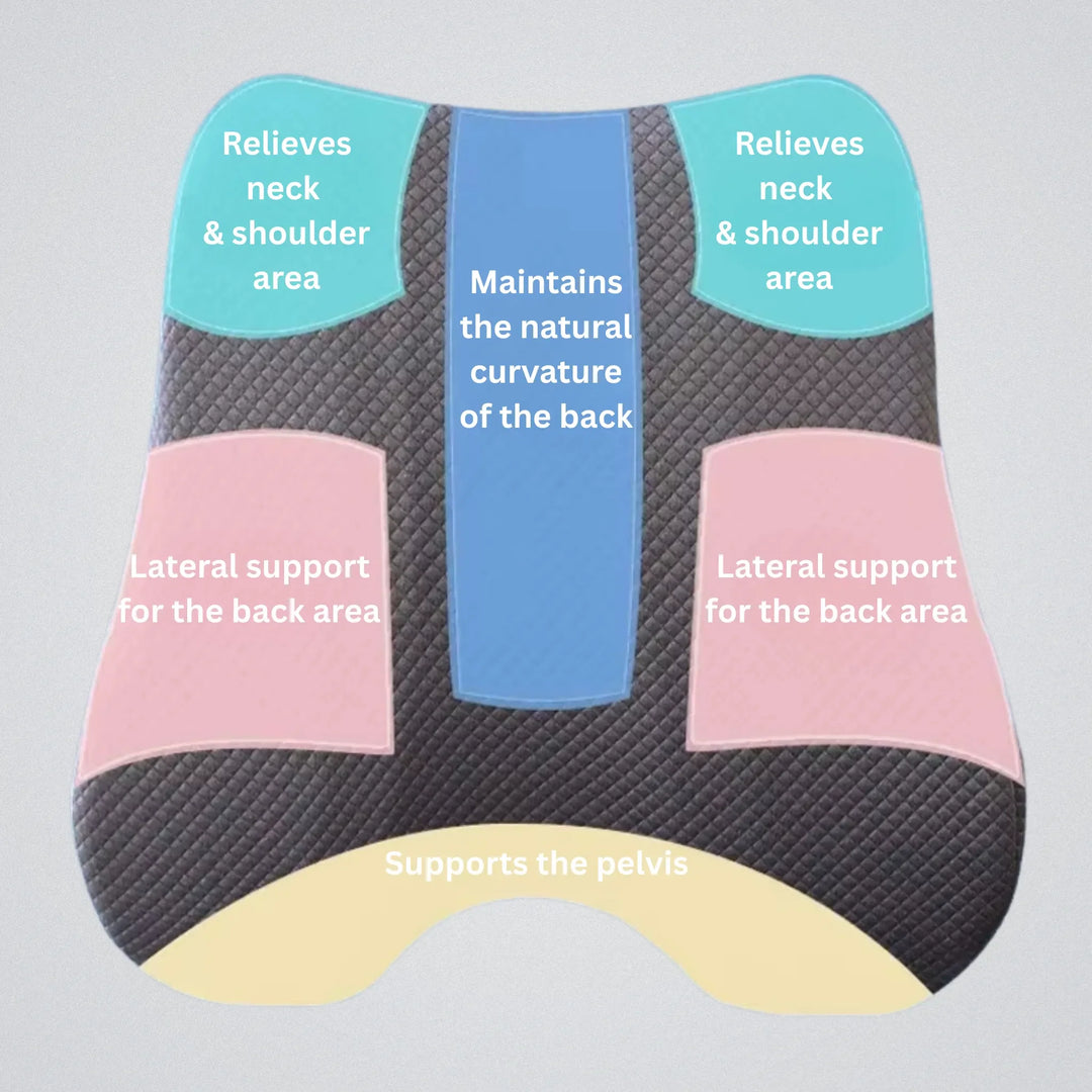 Lisslune | Orthopedic Seat Cushion | Ergonomic Design for Back Pain Relief & Comfort at Home or Office