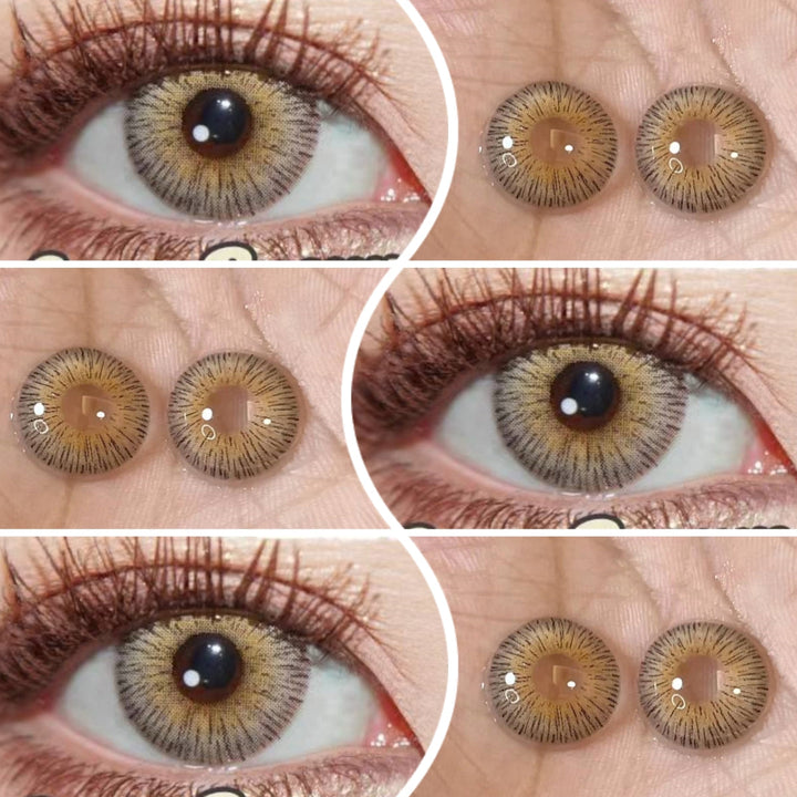 Rynx Vienna Brown 14.5 mm 1 Pair | 1 Year