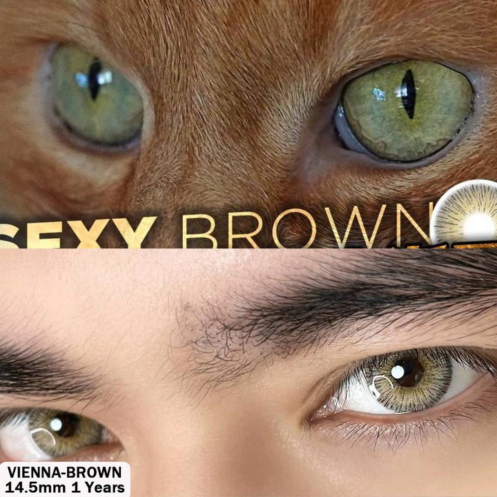 Rynx Vienna Brown 14.5 mm 1 Pair | 1 Year