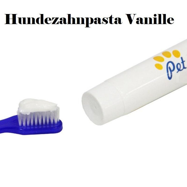 Lisslune | Dog toothbrush chew toy