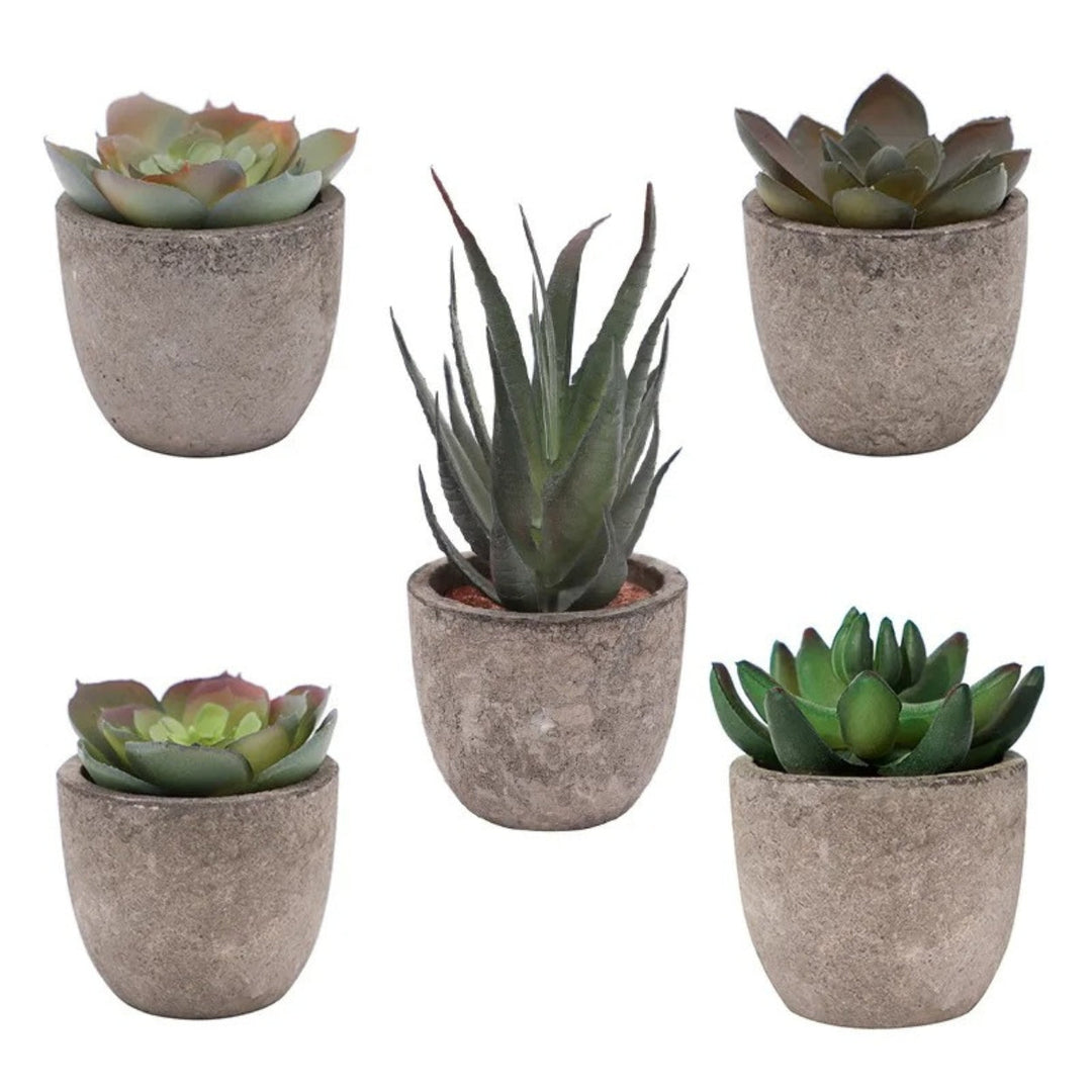 Lisslune | Verdea Artificial Succulent Plant Decor