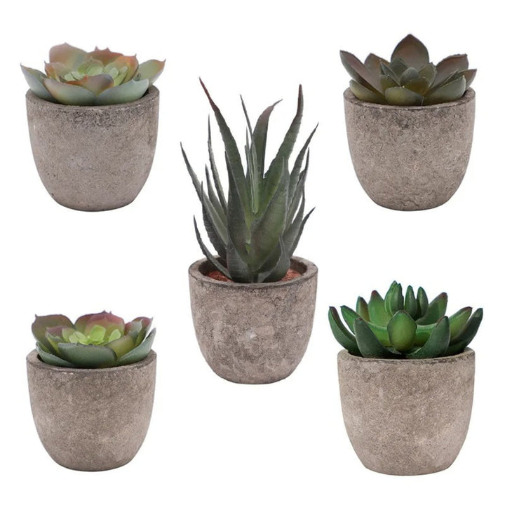 Lisslune | Verdea Artificial Succulent Plant Decor