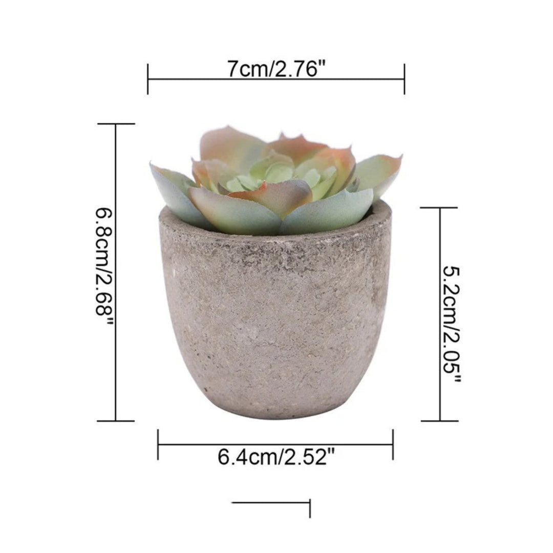 Lisslune | Verdea Artificial Succulent Plant Decor