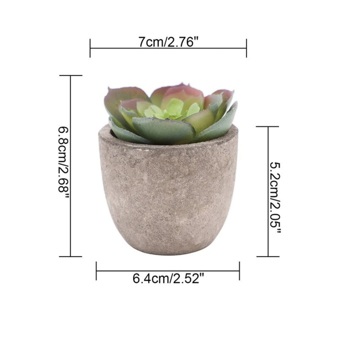 Lisslune | Verdea Artificial Succulent Plant Decor