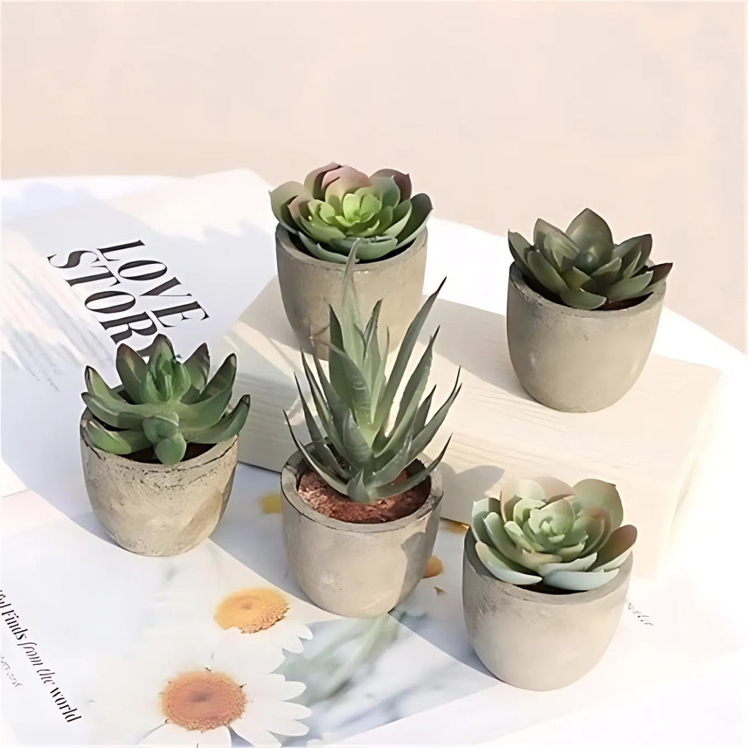 Lisslune | Verdea Artificial Succulent Plant Decor