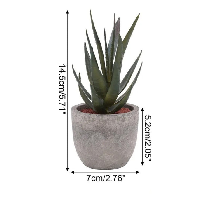Lisslune | Verdea Artificial Succulent Plant Decor