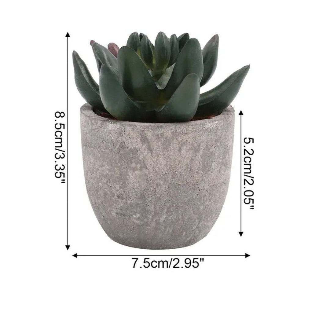 Lisslune | Verdea Artificial Succulent Plant Decor
