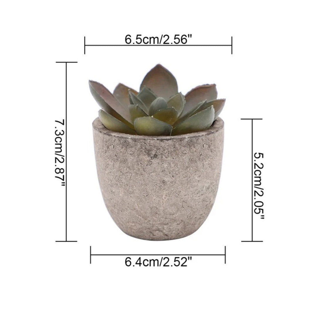 Lisslune | Verdea Artificial Succulent Plant Decor