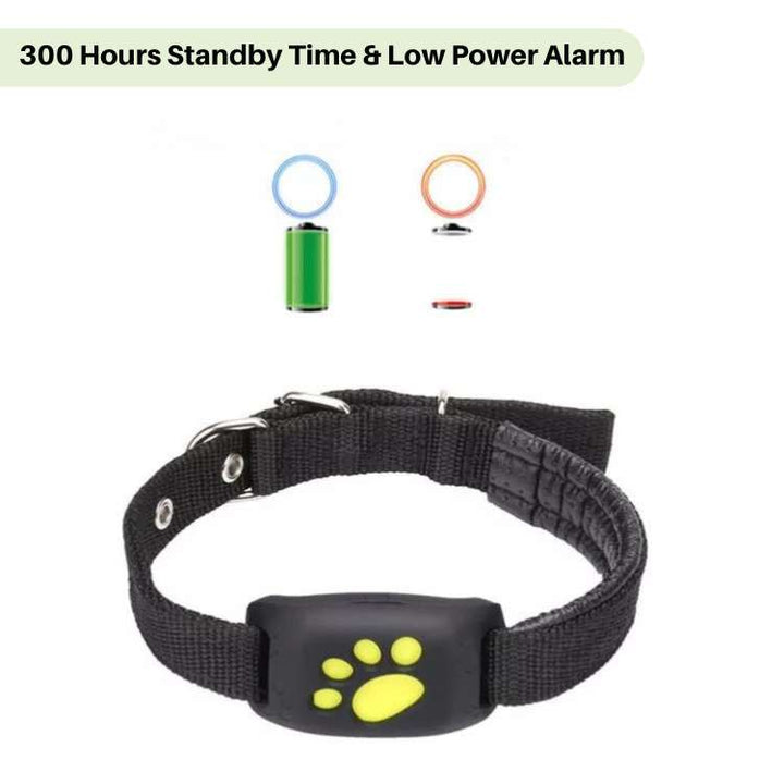 Lisslune | #1 Find  GPS Cat Tracker with Real-Time Location, Waterproof Design, and Activity Monitoring for Pet Safety and Tracking
