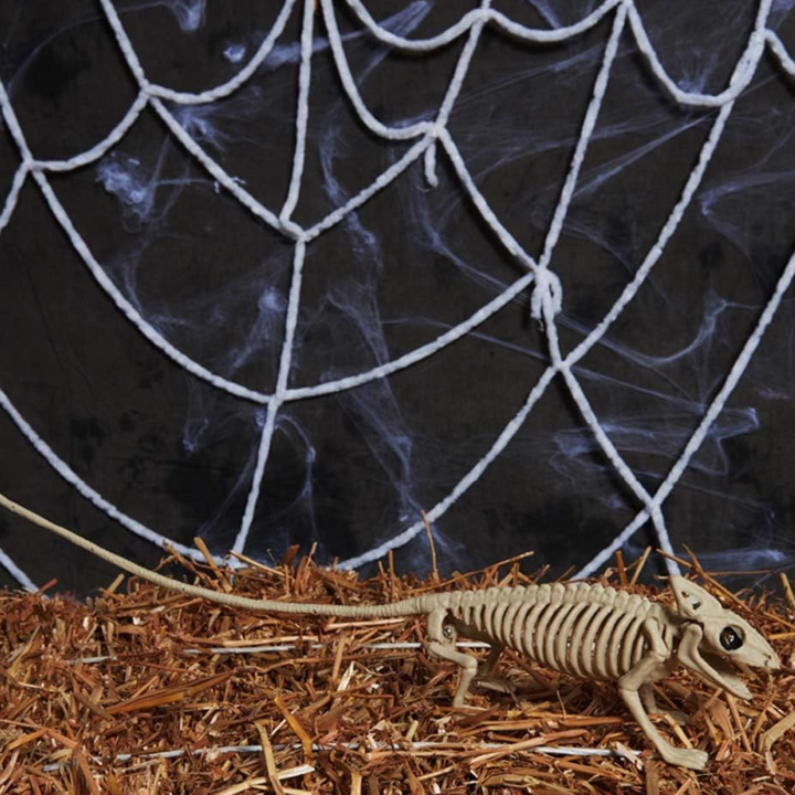 Lisslune | SpookySkeleton – Gothic Wall Art Hanging Ornament for Halloween