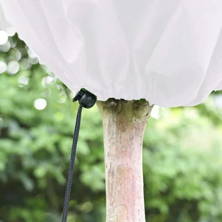 Lisslune | COEN – Simple and eco-friendly cover