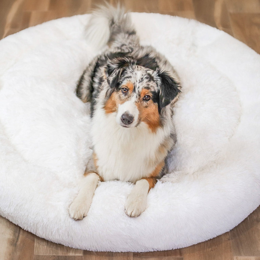 Lisslune | FluffyNest Comfort Dog Bed – Orthopedic Plush Sleeping Cushion for Dogs