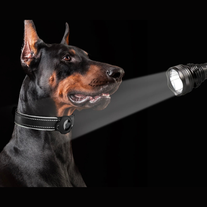 Lisslune | LEAZO - AirTag Dog Collar