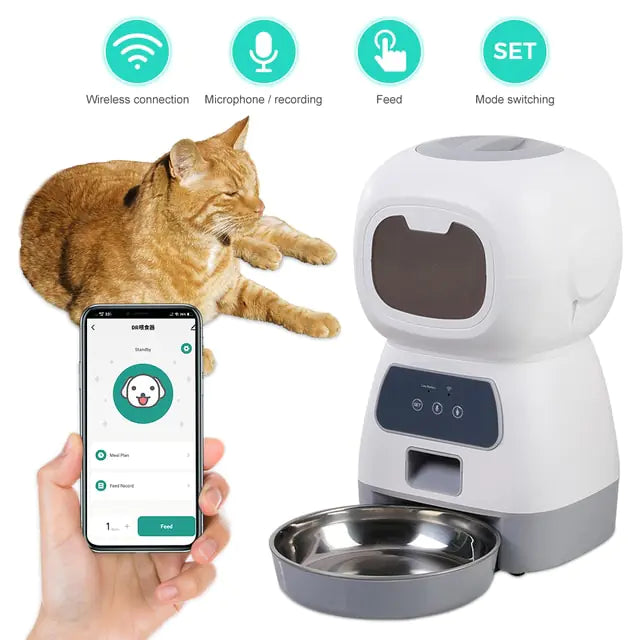 Lisslune | Intelligent Feeder