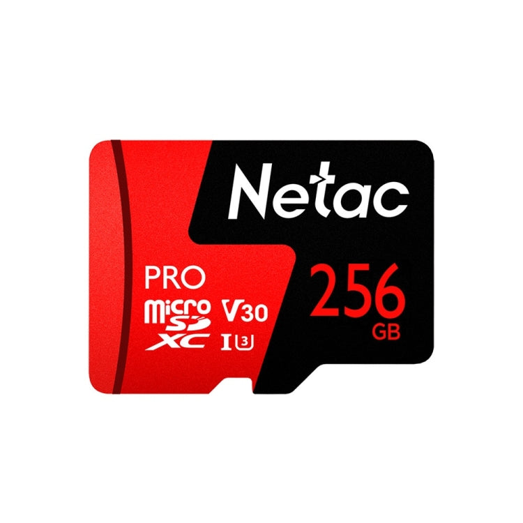 Lisslune | Netac P500 PRO 256GB U3 Speed Class Automotive Data Recorder Monitor Camera Memory Card TF Card