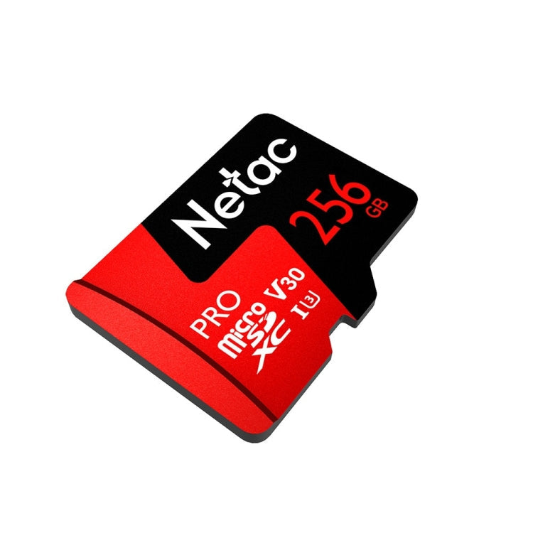 Lisslune | Netac P500 PRO 256GB U3 Speed Class Automotive Data Recorder Monitor Camera Memory Card TF Card