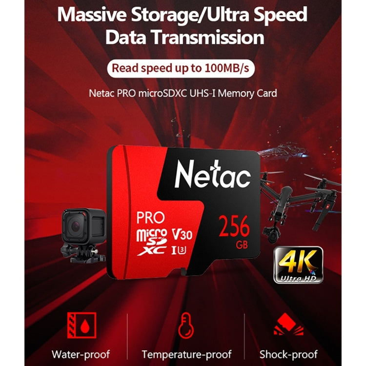 Lisslune | Netac P500 PRO 256GB U3 Speed Class Automotive Data Recorder Monitor Camera Memory Card TF Card