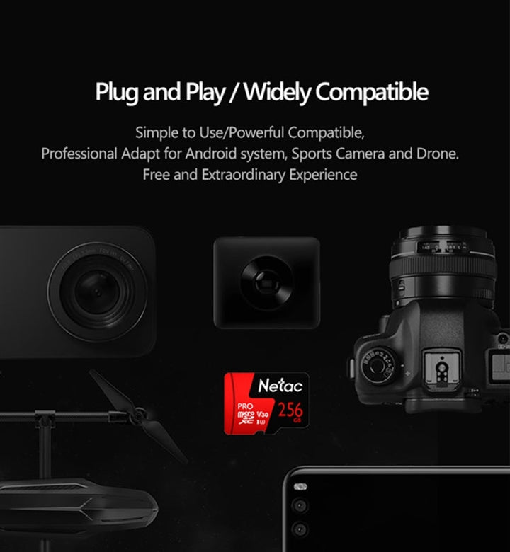 Lisslune | Netac P500 PRO 256GB U3 Speed Class Automotive Data Recorder Monitor Camera Memory Card TF Card