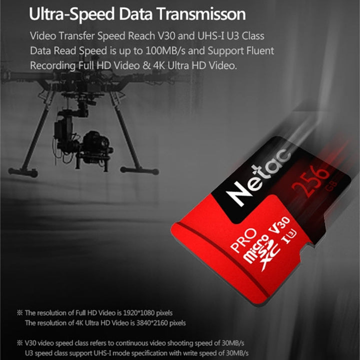 Lisslune | Netac P500 PRO 256GB U3 Speed Class Automotive Data Recorder Monitor Camera Memory Card TF Card