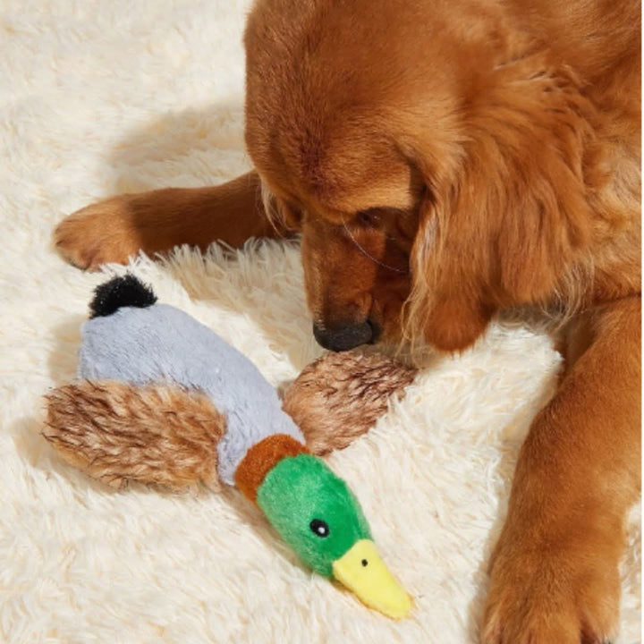 Lisslune | CHEWDLE - Plush chew toy