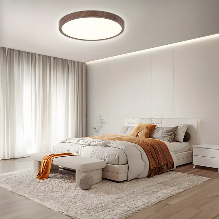 Lisslune | LED Ultrathin Circular Ceiling Light Fixture - Modern Design for Living Room & Kitchen Lighting