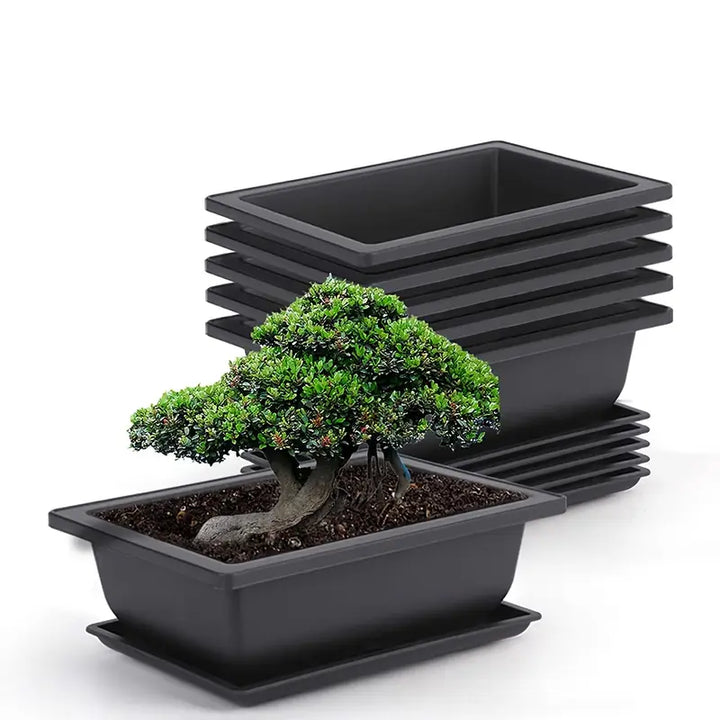 Lisslune | Plant pot with saucer – Rectangular flower pot for garden and balcony