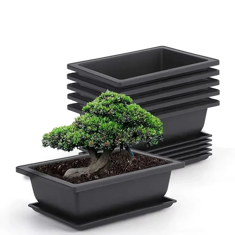 Lisslune | Rectangular Flower Planter with Saucer for Balcony