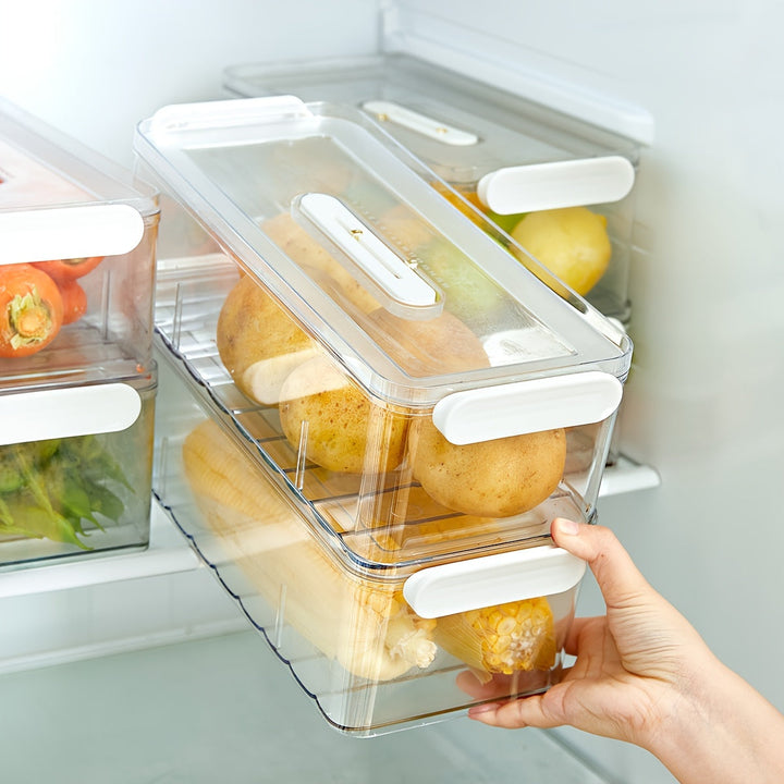 Lisslune | FreshKeep - Durable PET Container for Extended Freshness