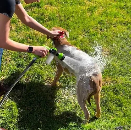 Lisslune | Multi-mode Dog Bath Foaming Water Gun