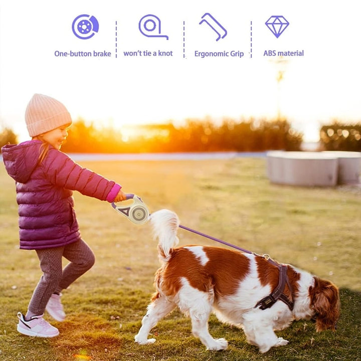 Lisslune | Luminous lead for pets