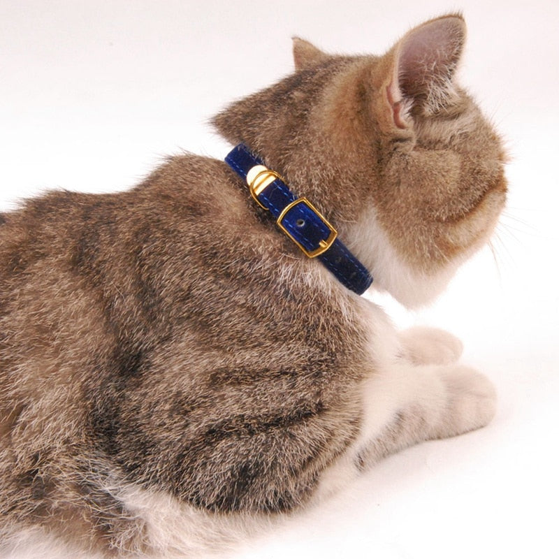 Lisslune | Collar for small cats & dogs