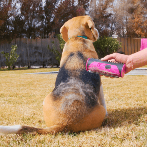 Lisslune | 3 in 1 Deshedding Undercoat & Fur Brush