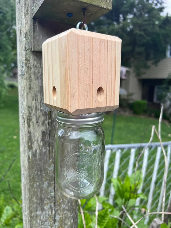 Lisslune | BeeGone - Zimmerman bee trap