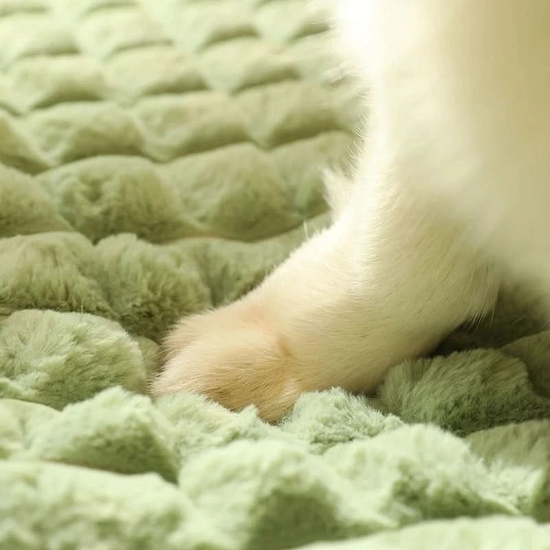 Lisslune | PAWCLOUD - Washable Soft Dog Bed